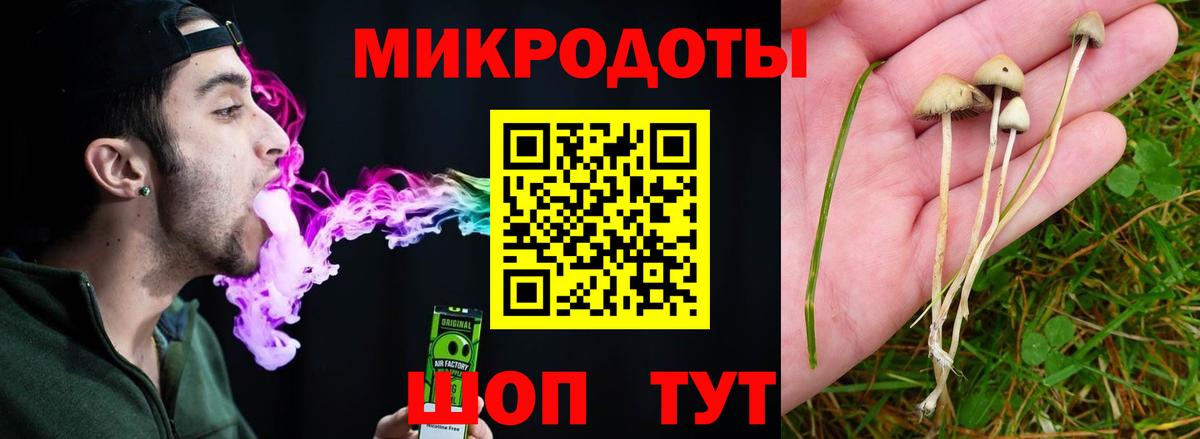 Псилоцибиновые грибы GOLDEN TEACHER Кимры